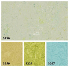 Forbo Marmoleum Decibel on Order 343035 salsa verde фото 3 | FLOORDEALER